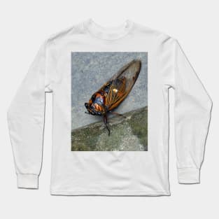 Cicada Long Sleeve T-Shirt